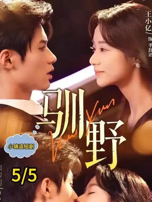 双生边界 悬疑剧全集在线看